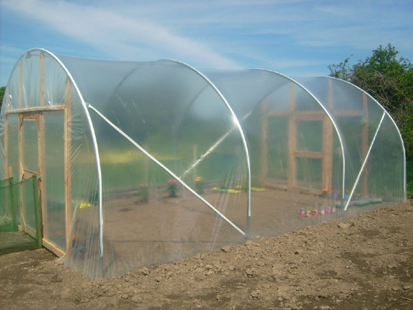 16ft x 24ft EasyGro Polytunnel - Polytunnels & Greenhouses, Ireland's ...